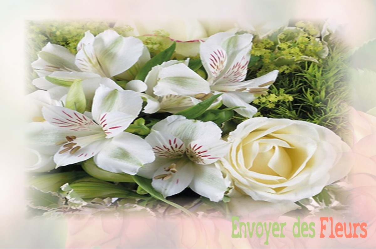 envoyer des fleurs à à SAINT-ETIENNE-EN-DEVOLUY